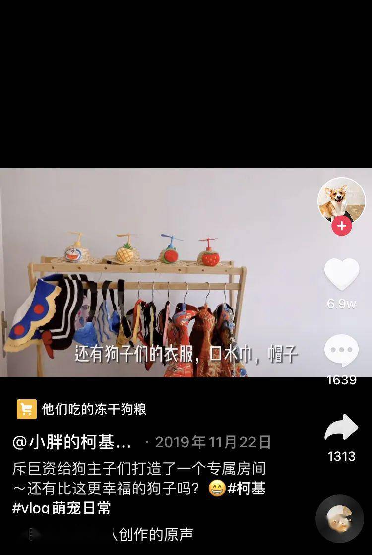 a88d27b58f0046d19fc450e3e033ae74.jpeg