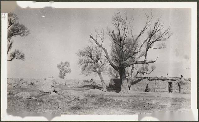 1910年甘肃安西县[今瓜州]老照片 百年前瓜州乡野景象(图6)