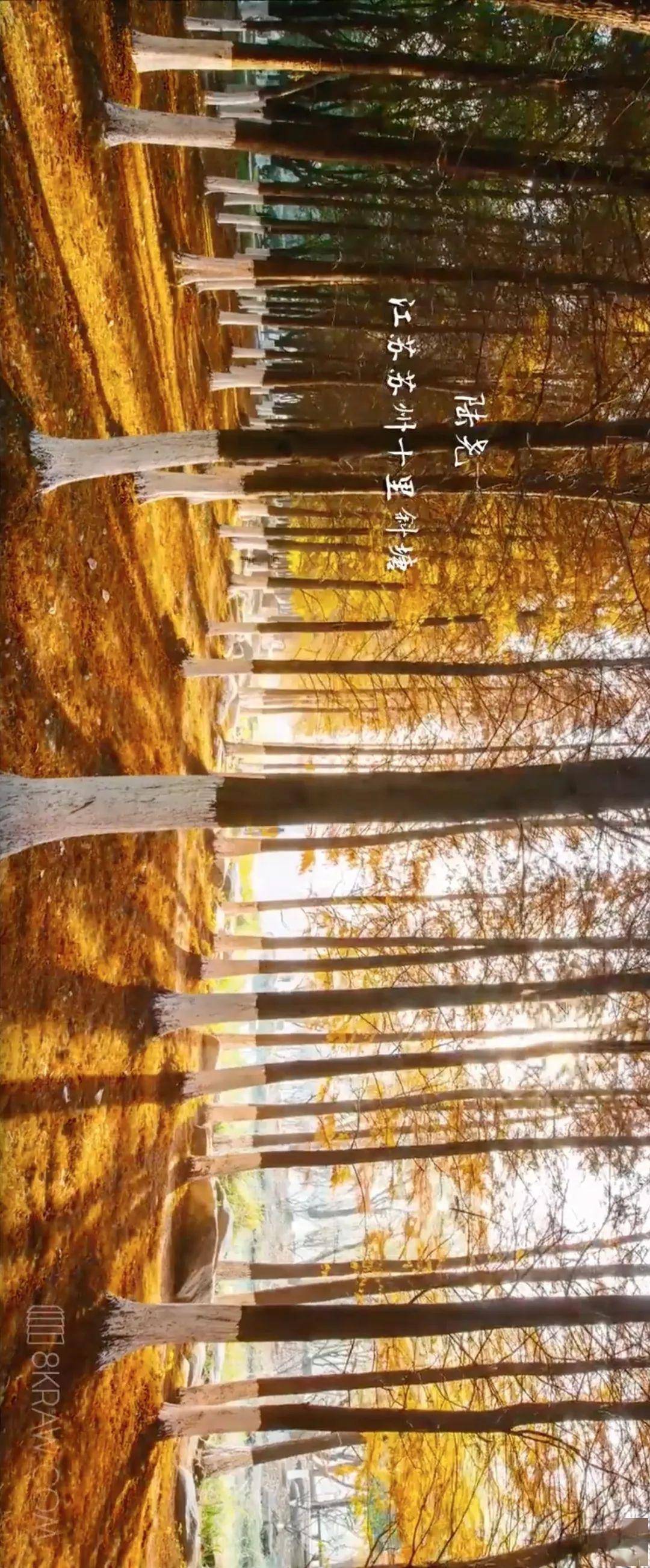 99.99%的司机都想自驾去这些地方！