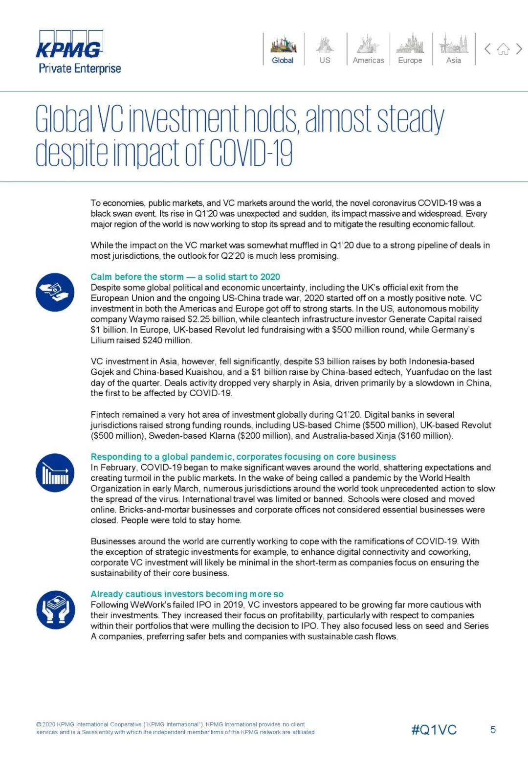 2020英国国第一季度g_英国短毛猫(2)