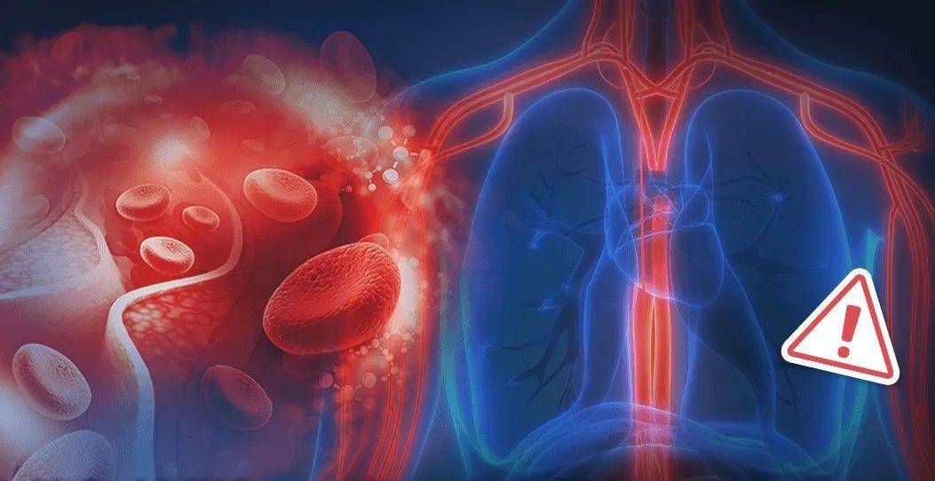 3d377375299041678d13979db63baede.jpeg