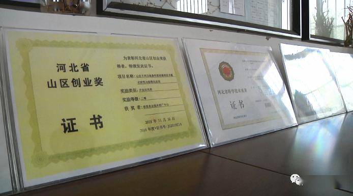 经济分析 总量小 质量差_swot分析(2)