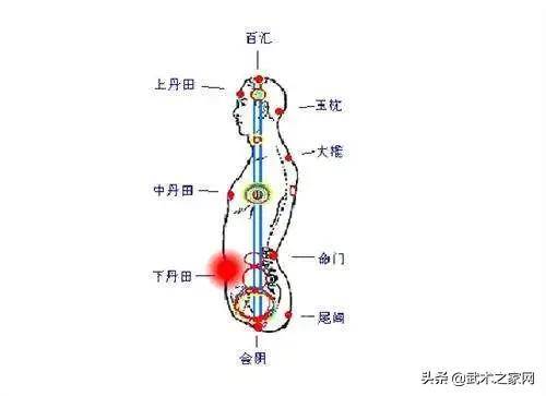 气沉丹田的科学解释_手机搜狐网