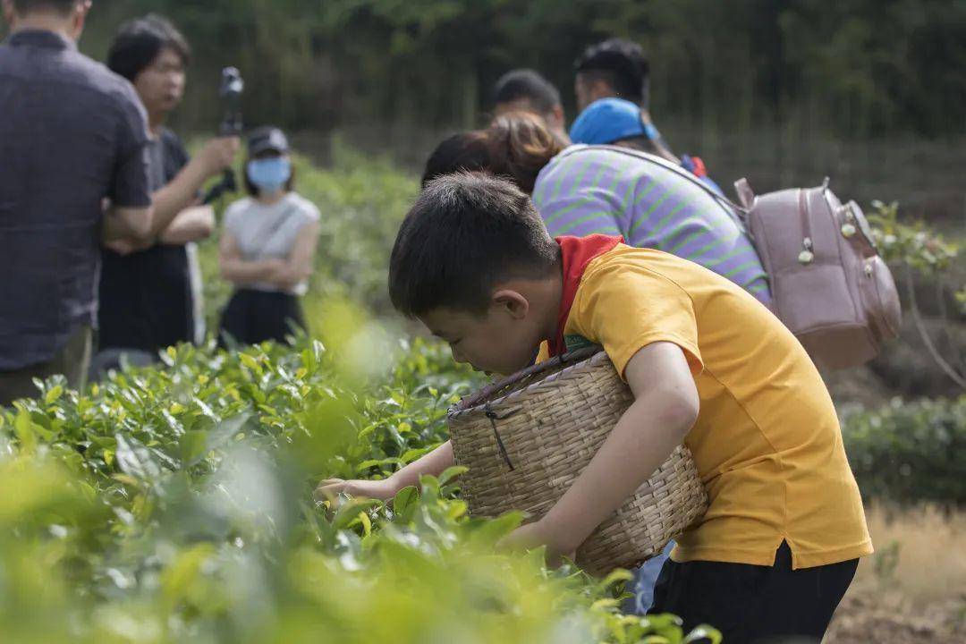 无锡钱桥人口_无锡钱桥死人火化照片(3)