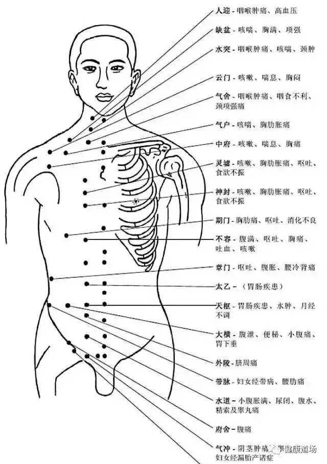 非常完整的人体穴位图与功效