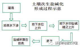 生态问题 水资源短缺;土地沙漠化,盐碱化;湖泊萎缩