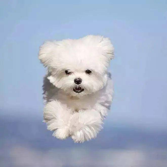 开心的飞起的头像 659cbeec9f5347dca7f9bfb5d07c3e9e.jpeg