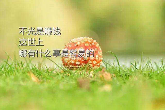 7b6f2252359244cba1900477edc5e8c0.jpeg
