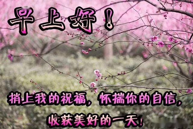 b35dff81a9974db9a9069a7b27f21861.jpeg