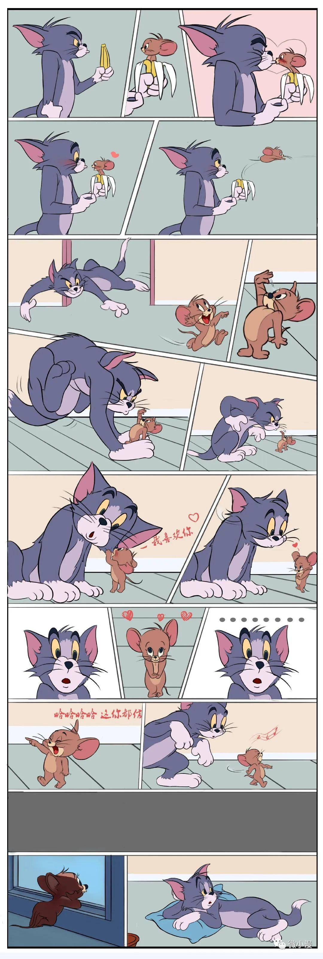 猫和老鼠,这像极了爱情!