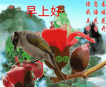 早安祝福图片动态带字,句句暖心的早上好问候祝福语语句动图表情