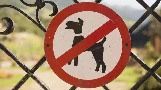 吉林省这个城市拟定81种禁养犬名单,包括中华田园犬,你有什么意见