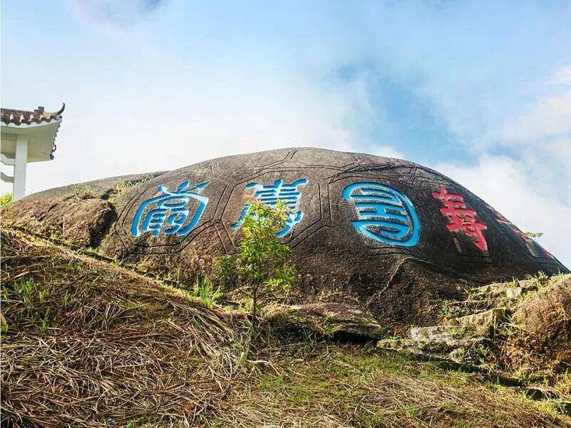 观唐村人口_观唐别墅(3)