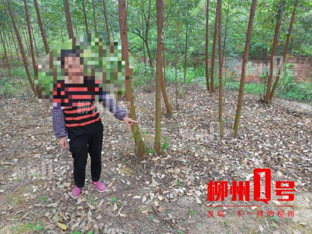 这些人竟在树林里做龌龊事,现场抓获12男2女