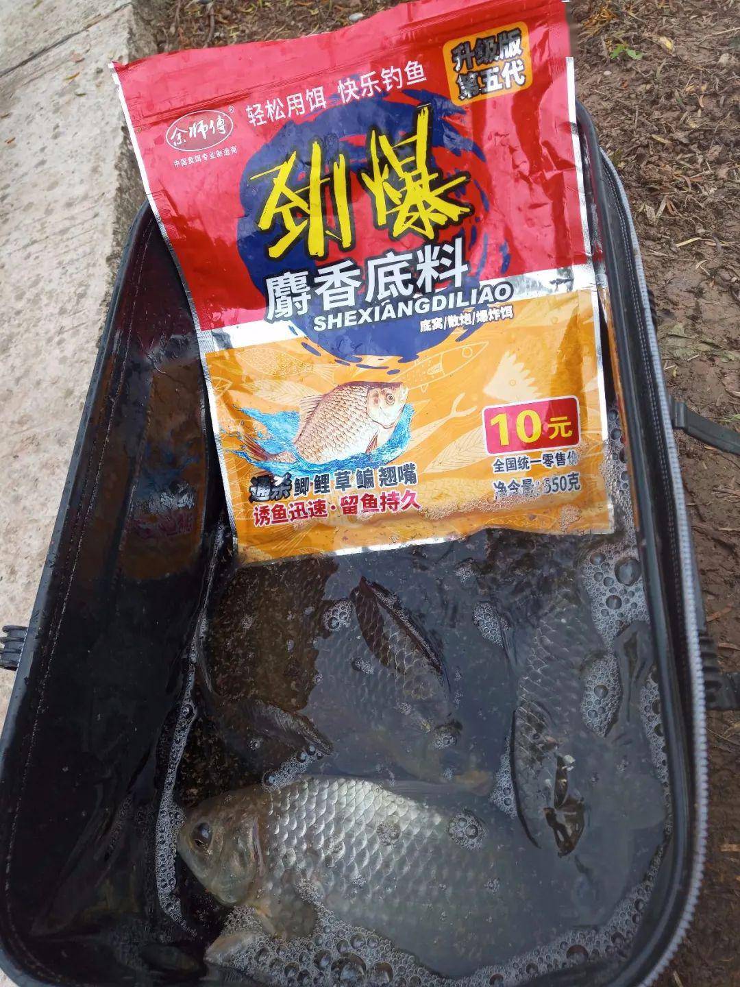 夏天用什么饵料钓鱼比较好 49aa285d29bc419fa6b136977d06bfc2.jpeg