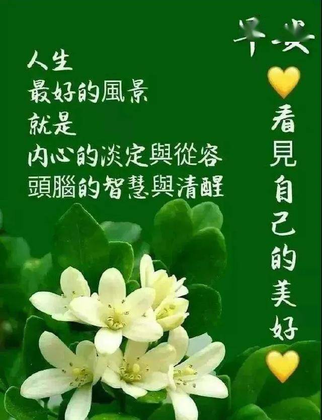 5月27日微信早上好问候语句,周三朋友圈最美的祝福表情图片