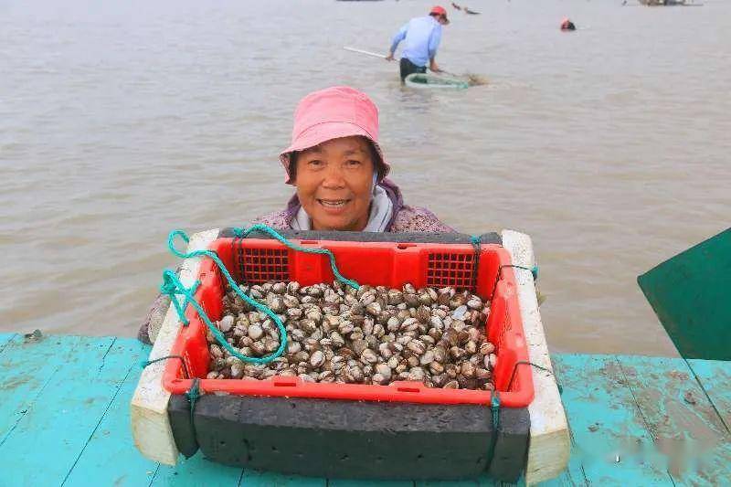 这样的宁海湾约你来赶海!_滩涂