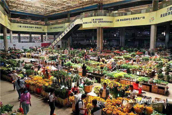 2020昆明建成区排名_昆明实力最强的区,GDP超过1300亿元,建成区比曲靖大