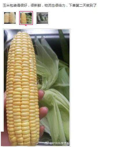 b3e2787d788e4708bdc45ac718d9f876.jpeg