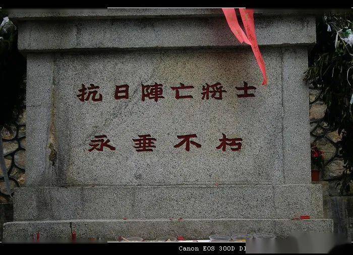 请问各位大神,这是什么蛇?