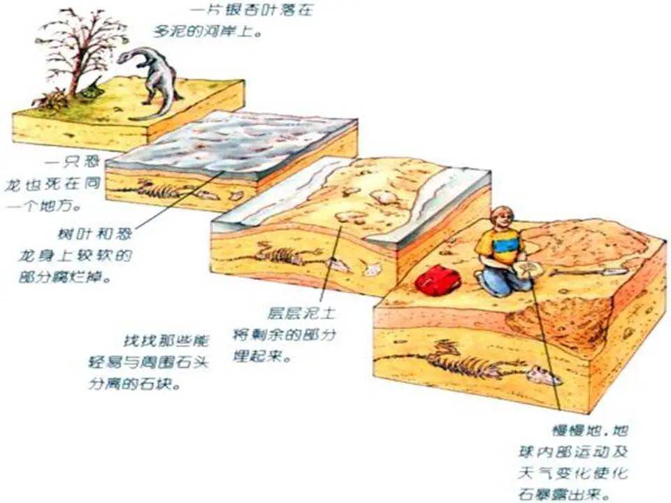 工程地质课件第2章地层构造,163页ppt可下载!