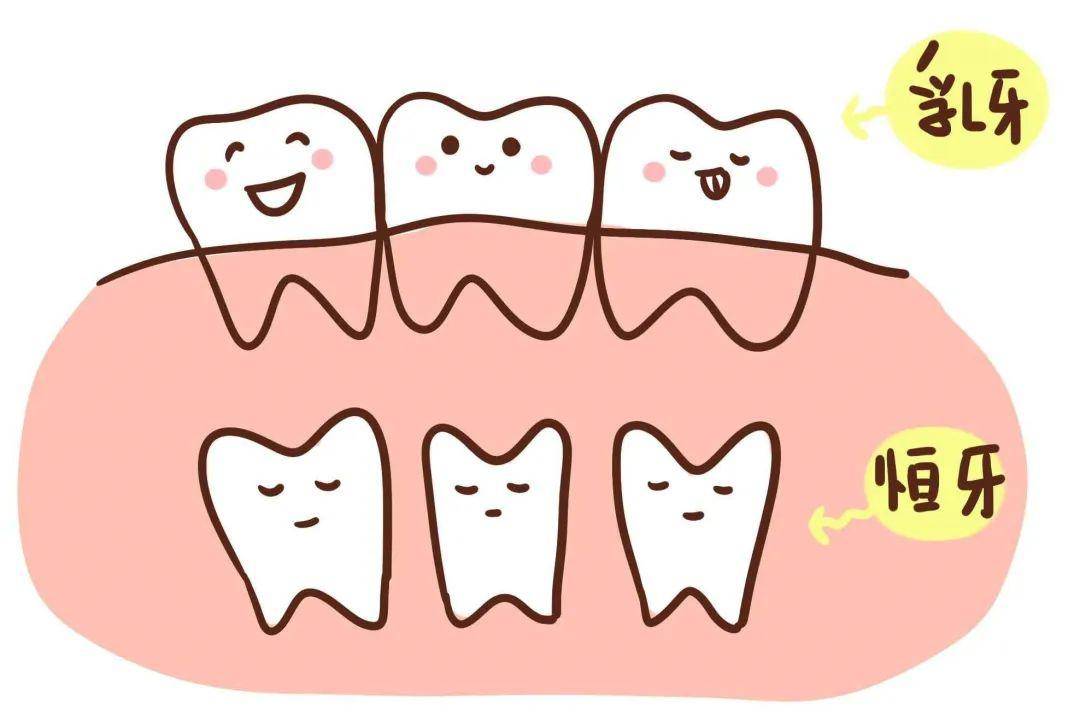 口腔医生口中的"人家说"系列之四——乳牙坏了不用补