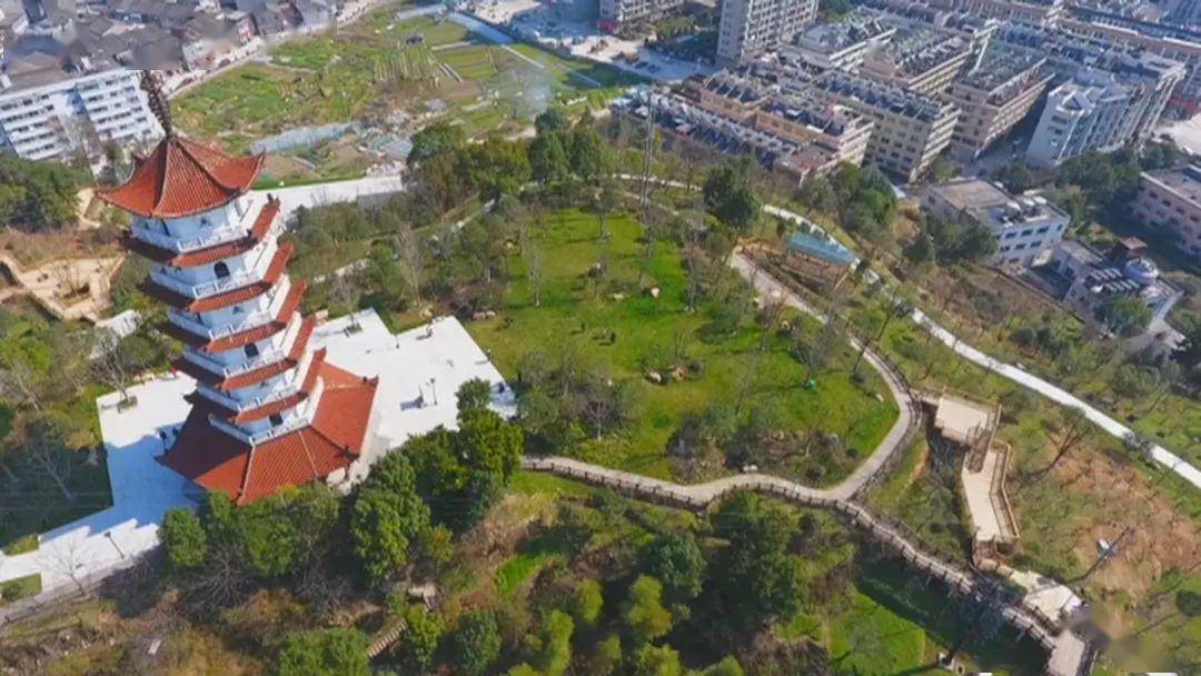 文成2020中考成绩排名_定了!2020年文成中考和高中招生政策有调整!