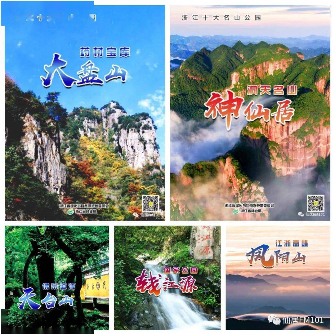 【101巨现场】惊艳!今日浙江十大名山公园走进神仙居