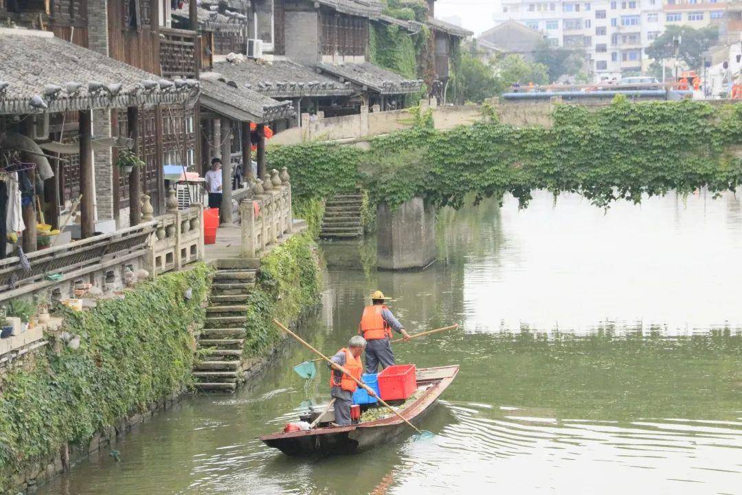 路桥桐屿人口_路桥桐屿怡和雅苑户型