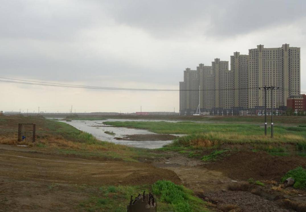 沙河镇有多少人口
