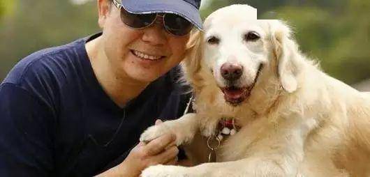 狗狗怎么叫都不理人怎么办 8342a44c1950471388b216578ee3982f.jpeg