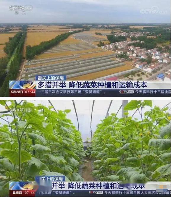 扶沟薄姓人口_扶沟雾烟山全神庙图片