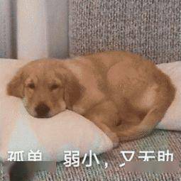 瞬间|细思极恐…“第一次坐火车掉进铁轨？”网友亲历的生死瞬间