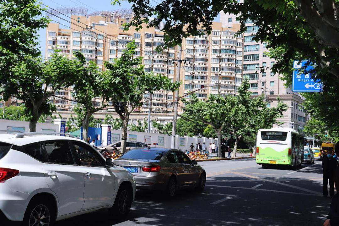 上海淮海西路两侧的树荫