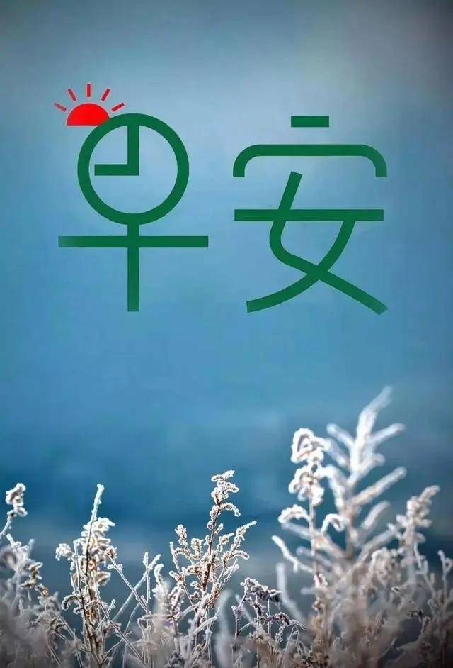 亲爱的早上好啊,送你清新的问候,温馨的祝福,清晨好