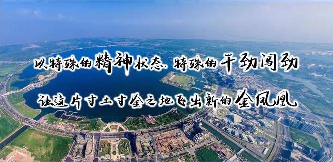 现上海临港新片区人口_上海临港新片区规划图