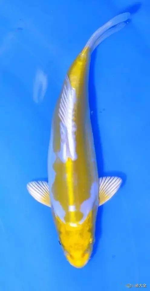 ����5��Ʒ�ֽ���