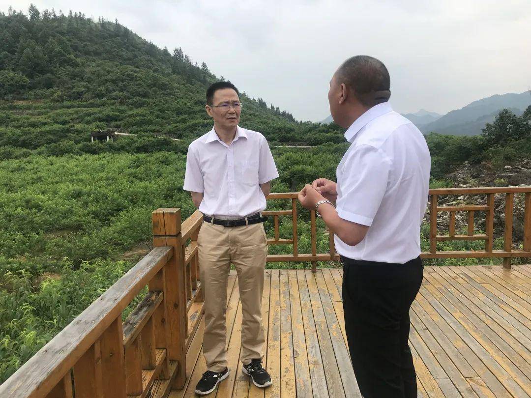 gdp考核乡村振兴_乡村振兴图片(3)