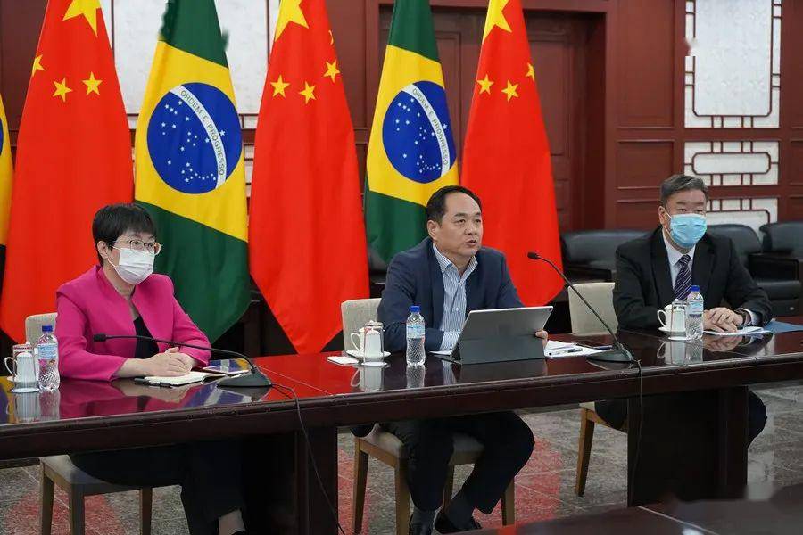 驻巴西大使杨万明出席中国国家电网向巴捐赠项目视频启动仪式