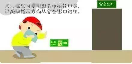 3cd609e1364546cb8c4c83c020b63112.jpeg