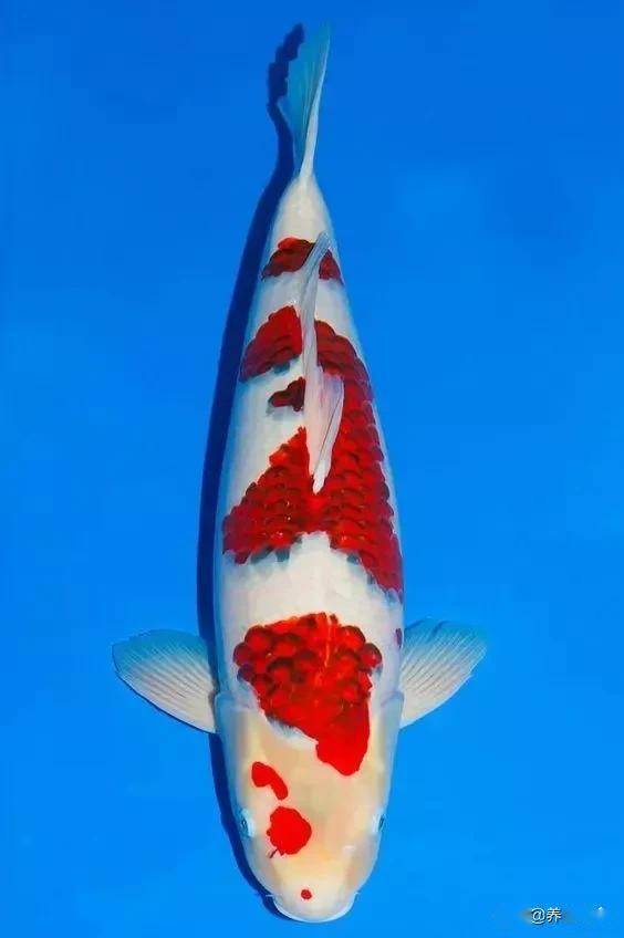 ����5��Ʒ�ֽ���