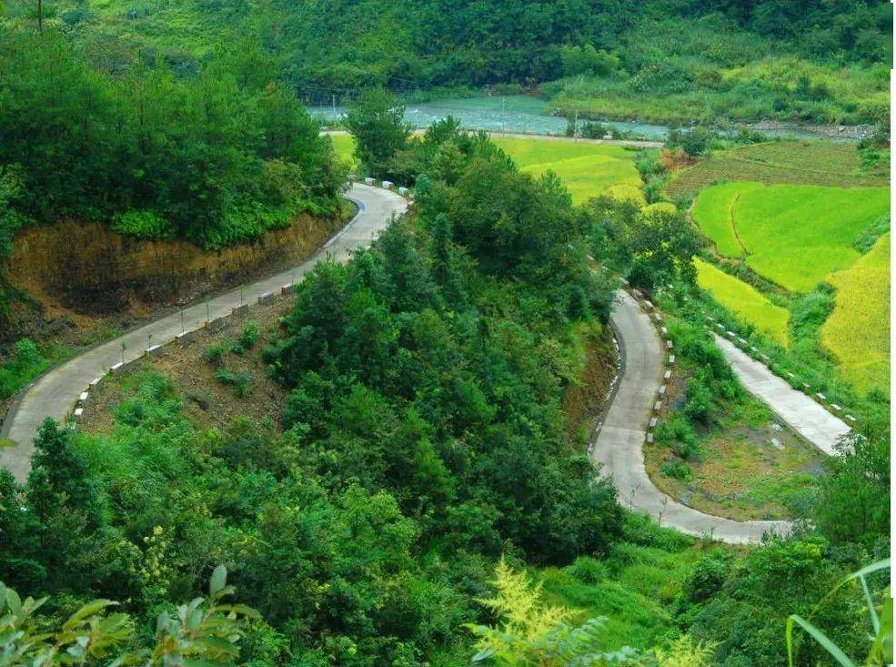 阳山村人口_山村风景(2)