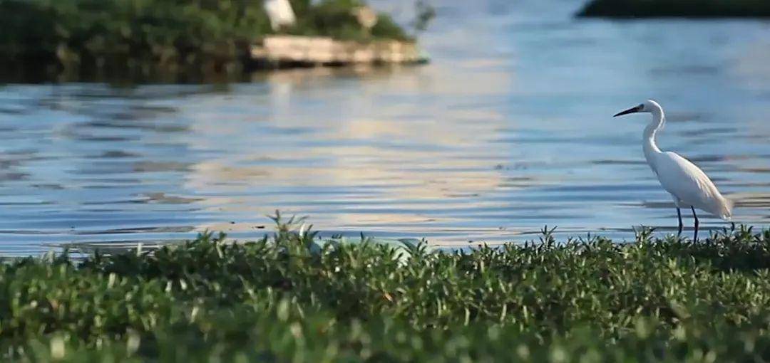 厦门市2020年1月GDP_厦门市行政服务中心(2)