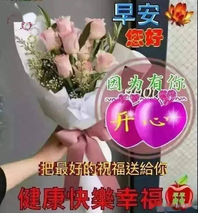 花妩媚,因为蝴蝶在追;梦已醉,因为月色很美,早安