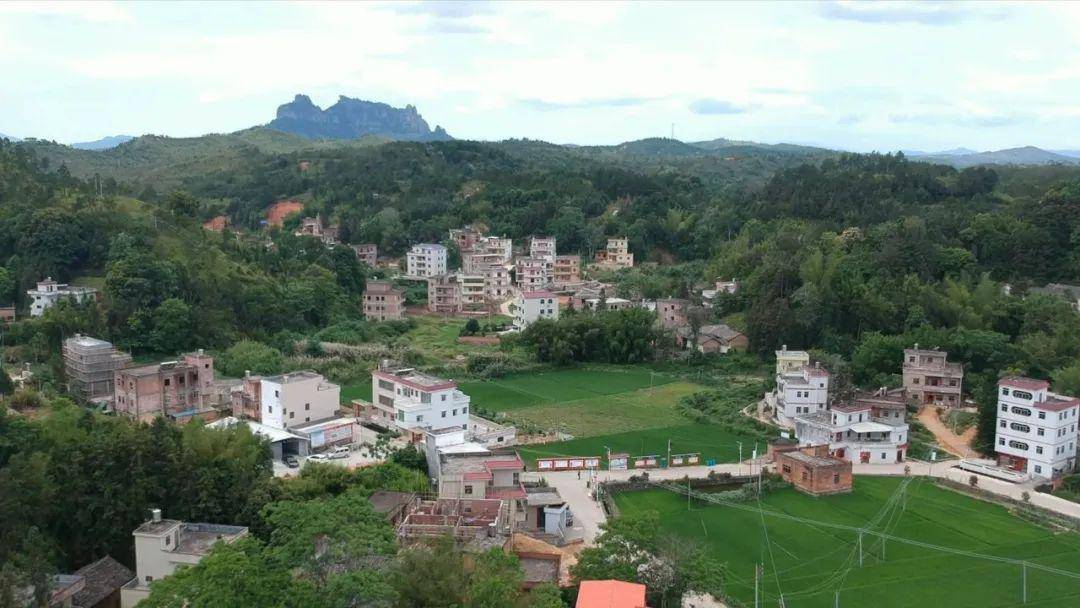 昔日贫困村,今成幸福地!龙川周塘村做了这些事