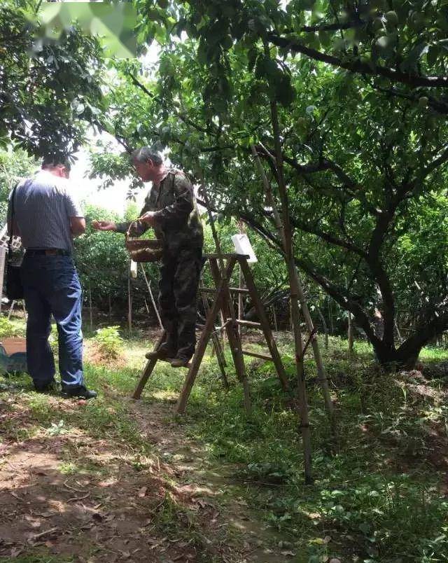 张浦多少人口_张浦镇盛巷花园图片