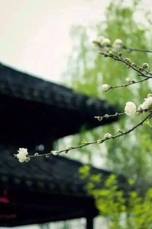 四季如春是什么意思 6aa87343736b4b128afeaa924f22a41d.jpeg