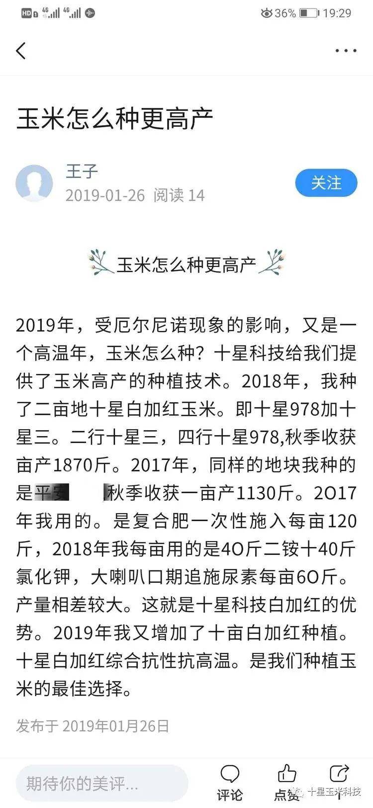 玉米简谱_玉米男孩(2)