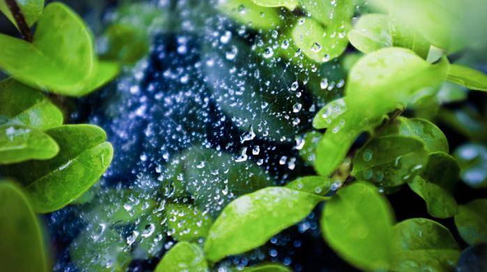 夏天的雨,落在了诗词里,美到极致