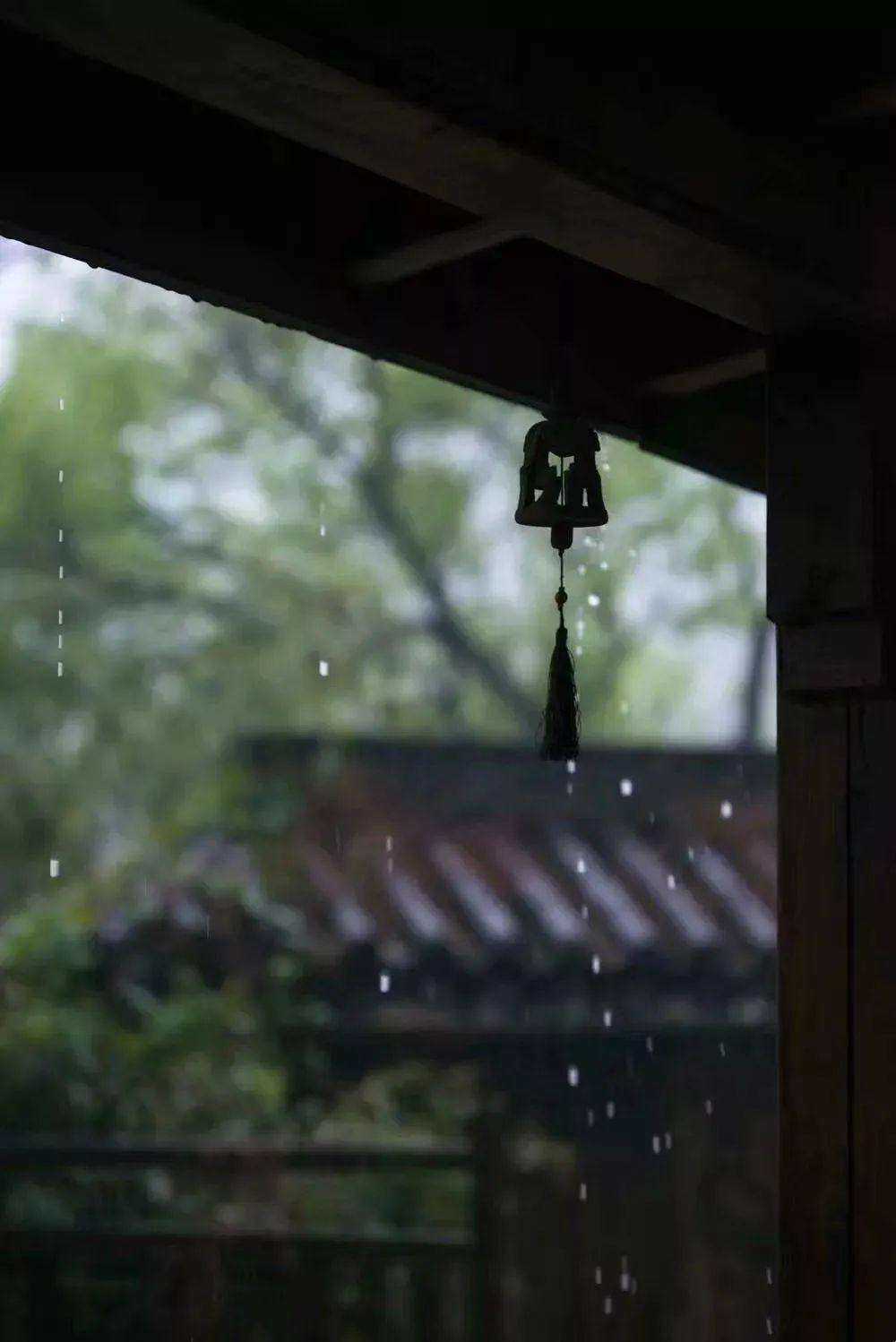 生活| 雨天,看书, 这是大多数人的理想